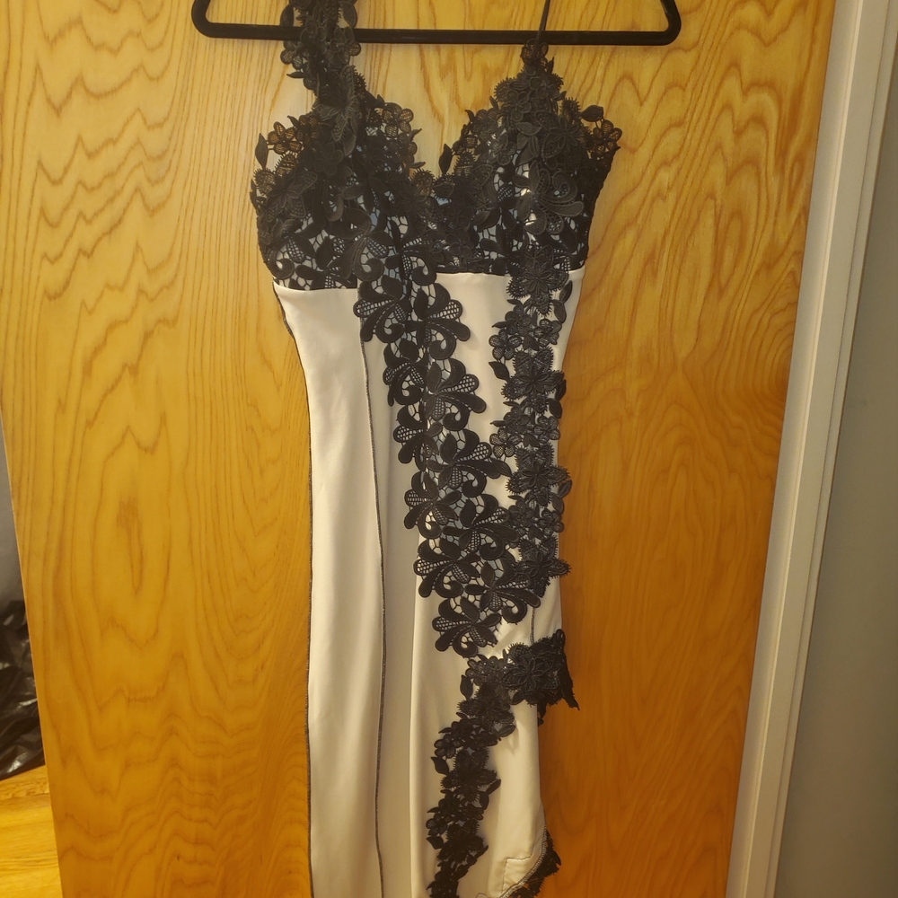 Chic Asymmetrical Dress with Black Lace Overlay
